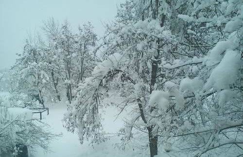 Il mulino che fu la filanda - Foto 28