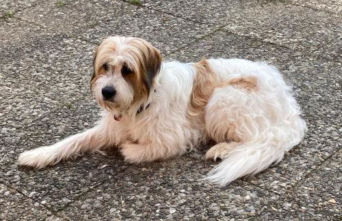 Ferienwohnung Nunatak am Plöner See - Foto 24