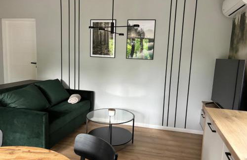 Dach Pod Sową Apartament GS - Foto 3