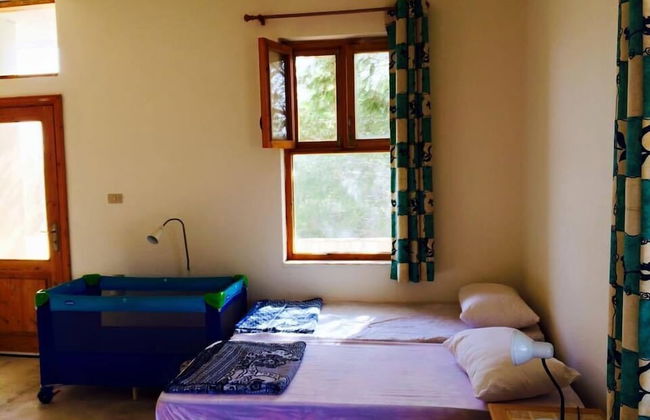 Dibeen Eco Farm House - Foto 6