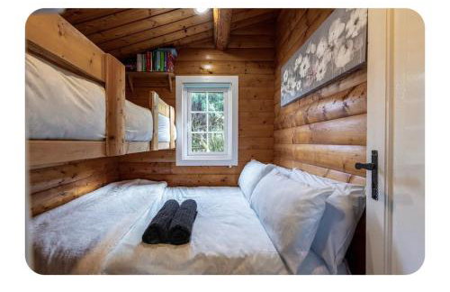 Snowdonia Escapes # TRANQUIL CABIN with Views, Wi-Fi, Dog Friendly & Parking - Foto 10