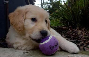 Ferme Pédagogique Bordeneuve - Foto 37