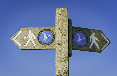 Llanddygfael Hir - Photo 24