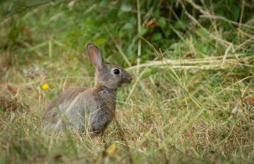 The Rectory Lacock Cottages - Foto 24