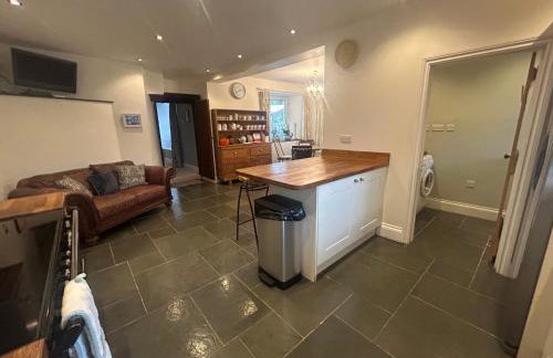 The old Manor House - Foto 58