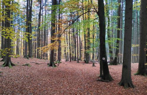 Wie Zuhause! Wohnung mit Garten - Foto 23