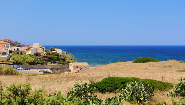 Ananas 4 D - Foto 4, View