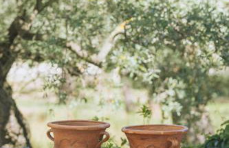 Essentia Vita Comfy Suites - Photo 59