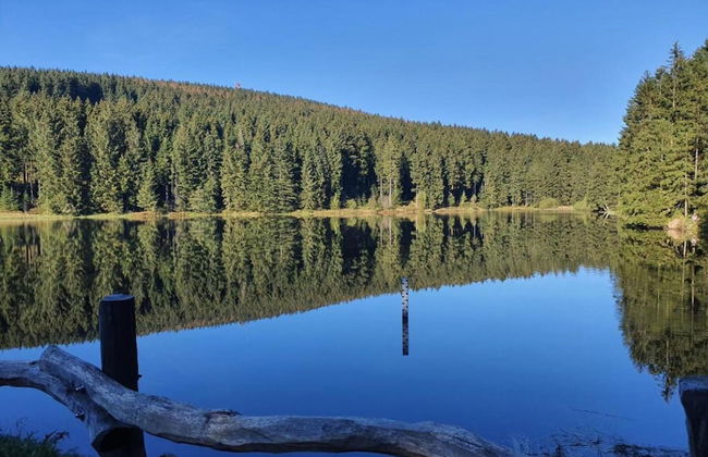 Kurzurlaub in Bockswiese, Hahnenklee - Foto 23