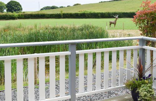 Birch Lodge - Uk30006 - Foto 22