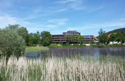 Harz Relax - Vier Jahreszeiten - Photo 12