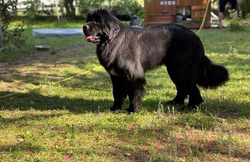 Sea the Blue Garden SPA Odargowo - Foto 37