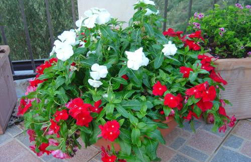 La Finestra sulle Eolie - Foto 77