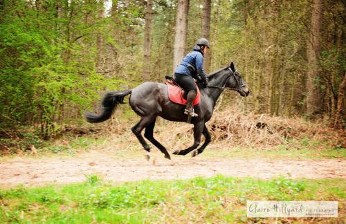 Lord Byron Lodge - Foto 6