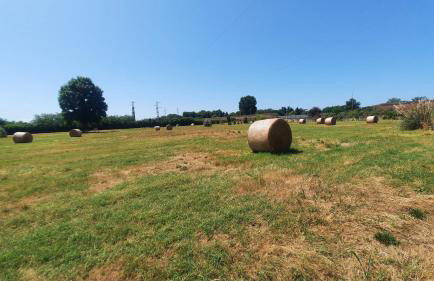 Agriturismo Fornace Certosa - Foto 21