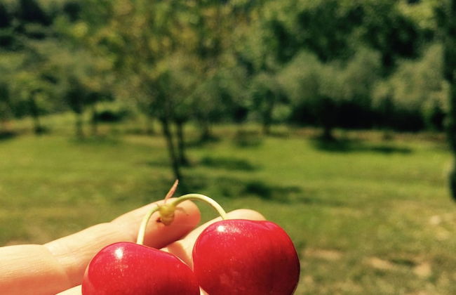 Bio Agriturismo Valle dei Calanchi - Foto 59