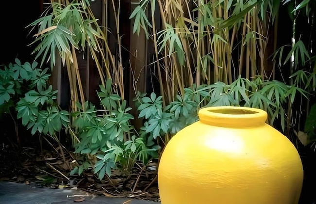 Mount Emei Zhizhu Resort Hotel - Photo 50