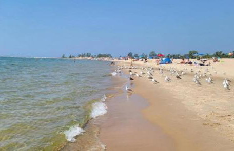 Urban Queen Apartment At The Victorian Unit D - Foto 25