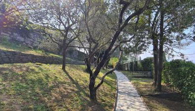 Villa gli Ulivi Chalten Apartment - Foto 5