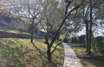 Villa gli Ulivi Chalten Apartment - Foto 5