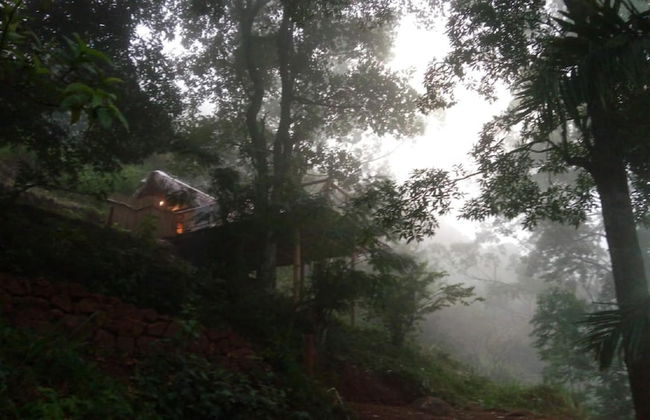 Ella Retreat Hotel - Photo 77