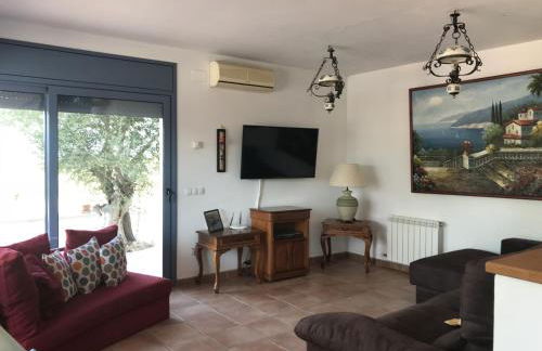 les garrigues - Photo 12