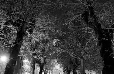 Al Campanile - Valtellina - 15 min da Bernina Express - Foto 21