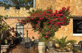 Turismo Rural Santa Lucia - Foto 13