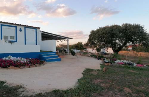 Monte Beatriz - Foto 7