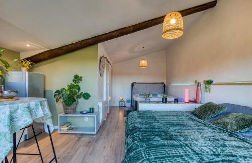 Chambre spa privé Arles campagne - Foto 9