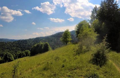 Dom z Widokiem - Foto 48