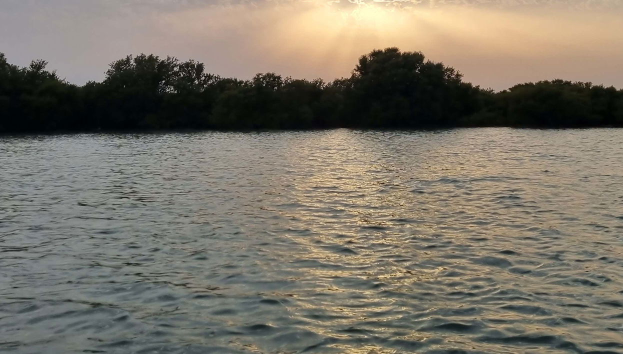 Al Thakira Reserve Kayak Tour - Photo 1, Al Thakira Reserve Kayak Tour