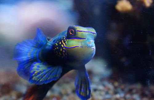 Maison Napoléon - Foto 38