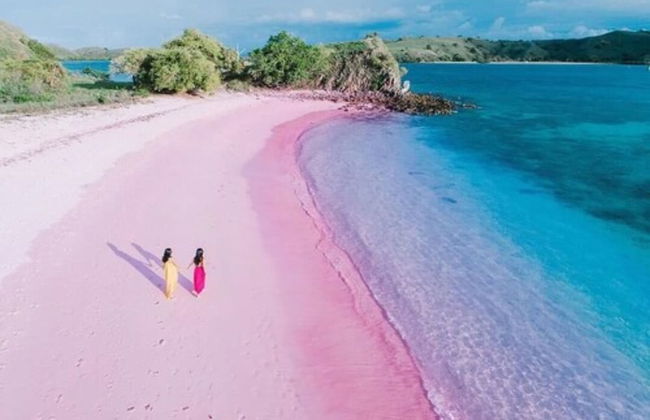 Samara II Liveaboard - Foto 34