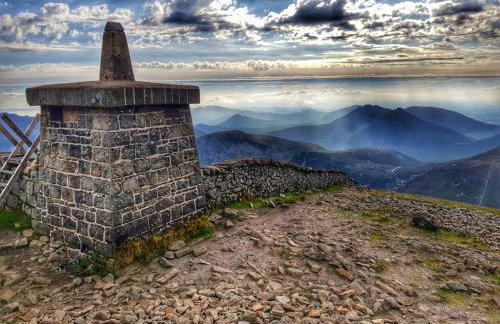 Oaktree Manor - BBQ, games rooms and pet friendly - Photo 39