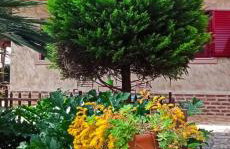 Mozart House Studio - Foto 61