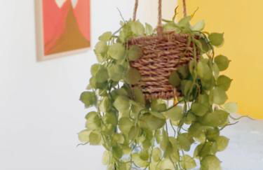 Felicità - Longère with swimming pool and large garden - Photo 33