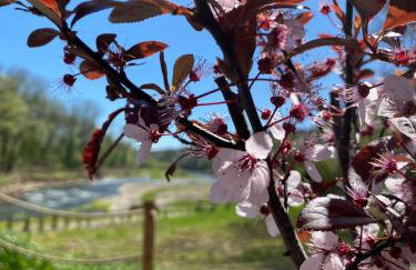 Stodoła Nad Skawą - Foto 12