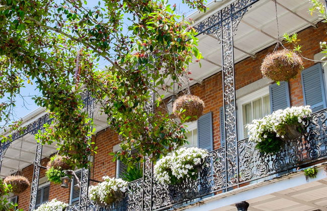 Tour por Nueva Orleans - Foto 1