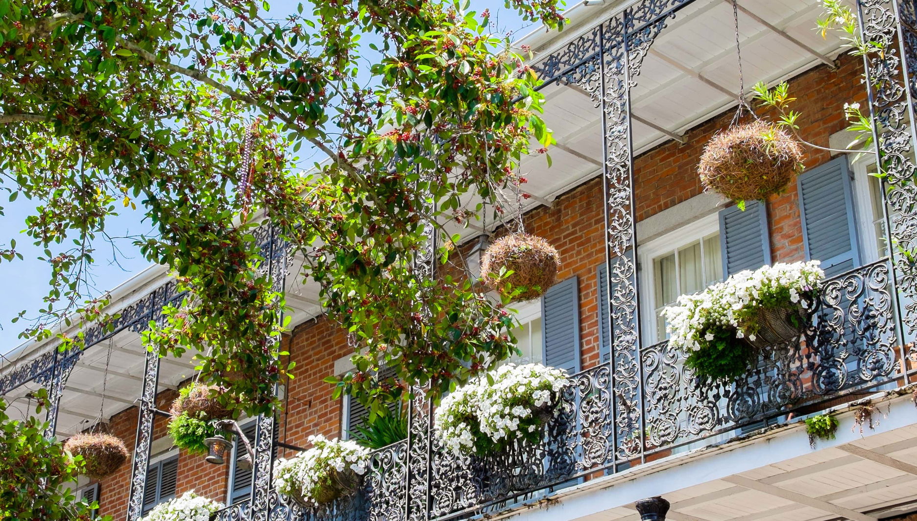 Visite à la Nouvelle-Orléans