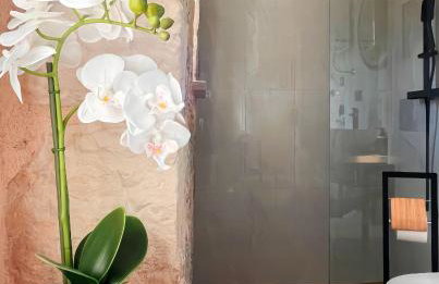 Luxury apartments White house - Foto 49