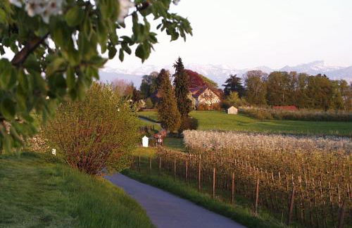 Baumanns Ferienhof Am See - Foto 46