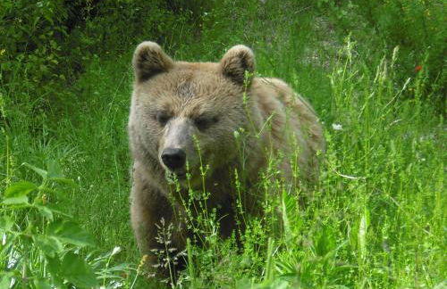 La Casa Sul Lago - Foto 66