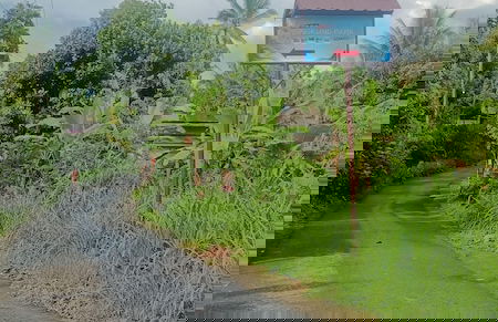 Lingkung Park Tetebatu - Foto 11