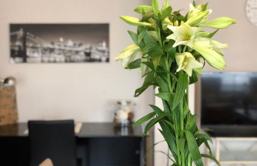 Mundo-Abeona - Foto 6