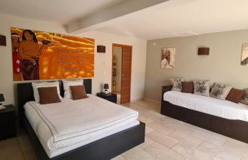 location Villa avec piscine chauffée - Foto 44