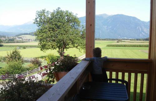 Krebslechnerhof - Foto 61