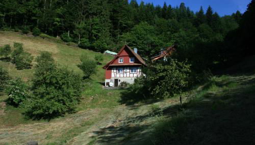 Haus Wiesenruhe - Foto 5