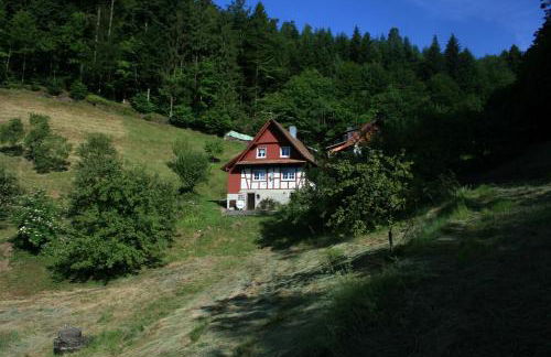 Haus Wiesenruhe - Foto 5