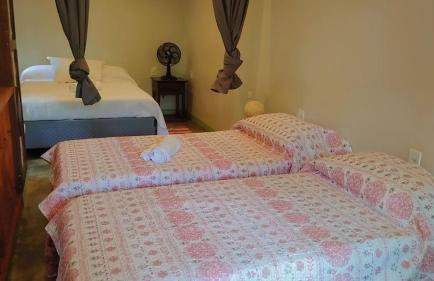 Estrela da noite - Foto 10